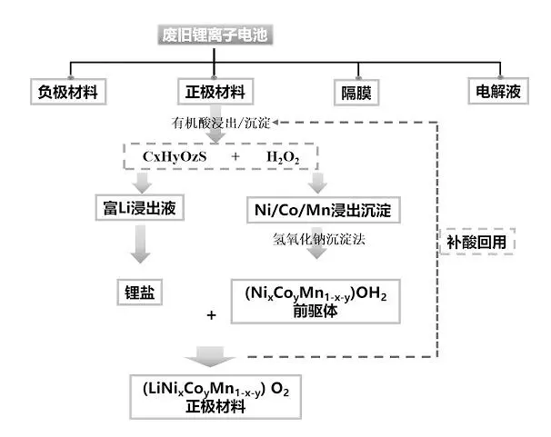 废水蒸发器